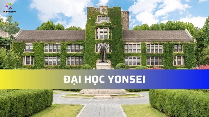 Đại học Yonsei - YK education