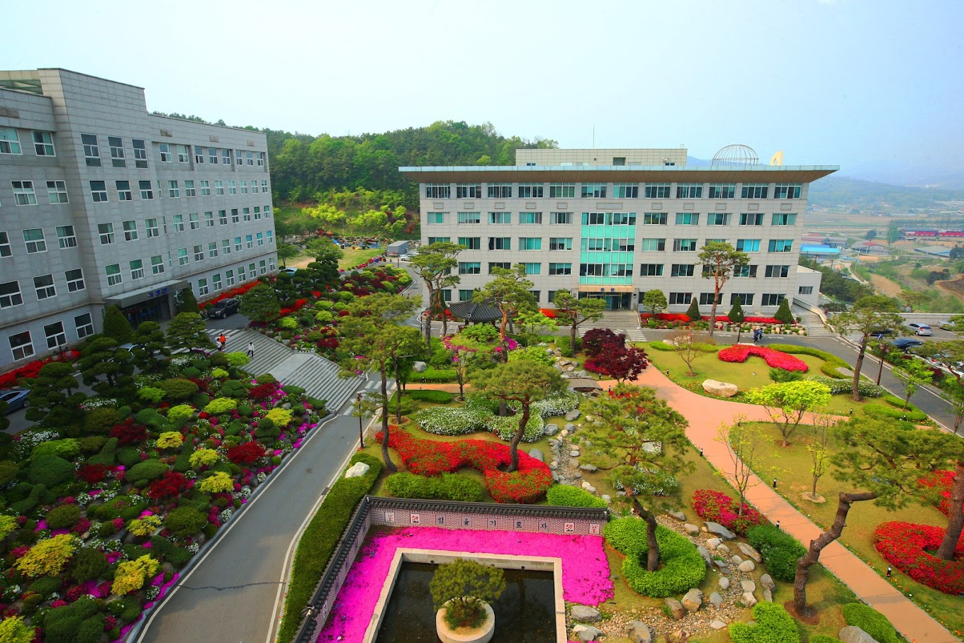 ĐẠi HỌc Seojeong 서정대학교 2023